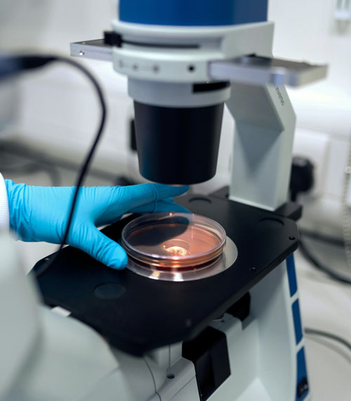 生物实验室净化工程