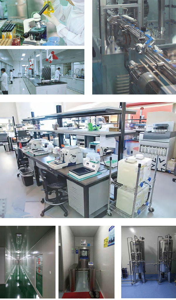 生物实验室净化工程